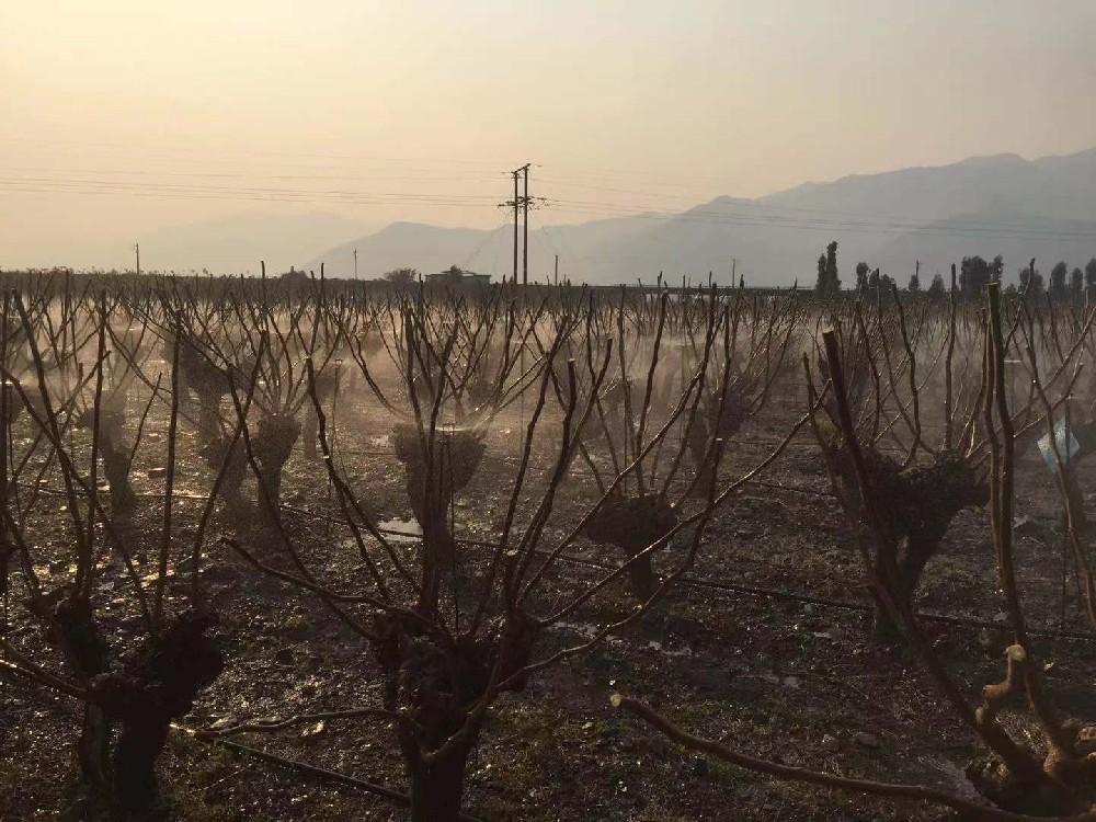 西昌蠶種場(chǎng)項(xiàng)目