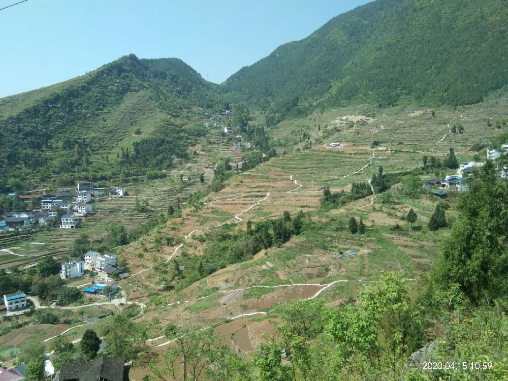 重慶豐都縣1000畝物聯(lián)網(wǎng)雷竹噴灌滴灌項(xiàng)目