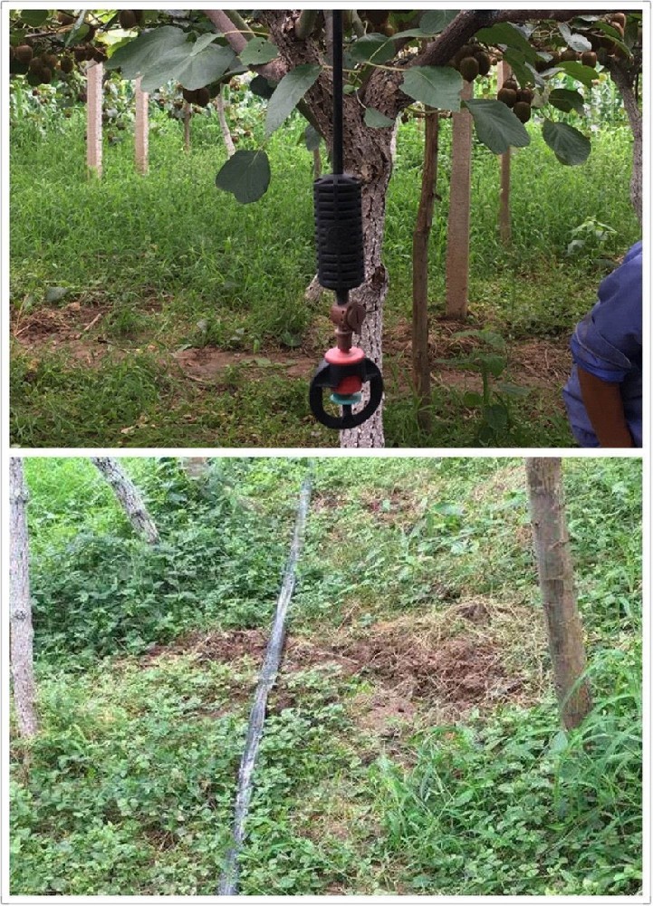 成都260畝友誼獼猴桃果園項(xiàng)目