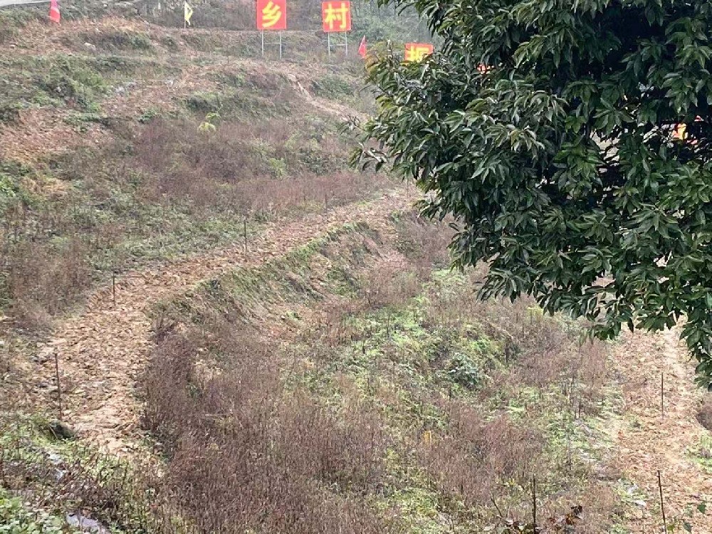 宜賓市珙縣上羅鎮(zhèn)噴灌項(xiàng)目