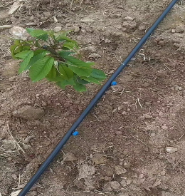 壓力補(bǔ)償?shù)晤^