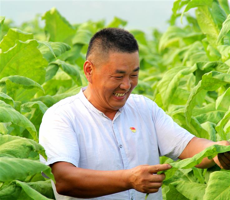 村黨支部書記劉金國：村社一體蹚出“金葉致富路”