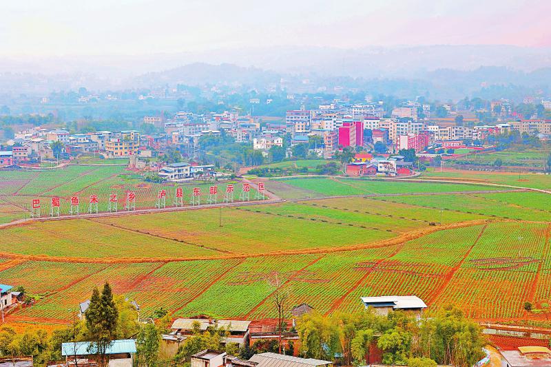 這個(gè)萬畝糧油示范園不一般