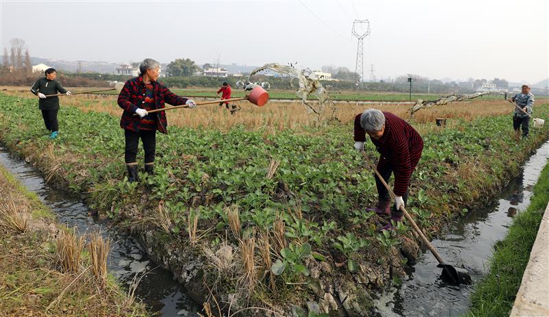 四川丹棱：人勤春早備耕忙 多措并舉來護(hù)航