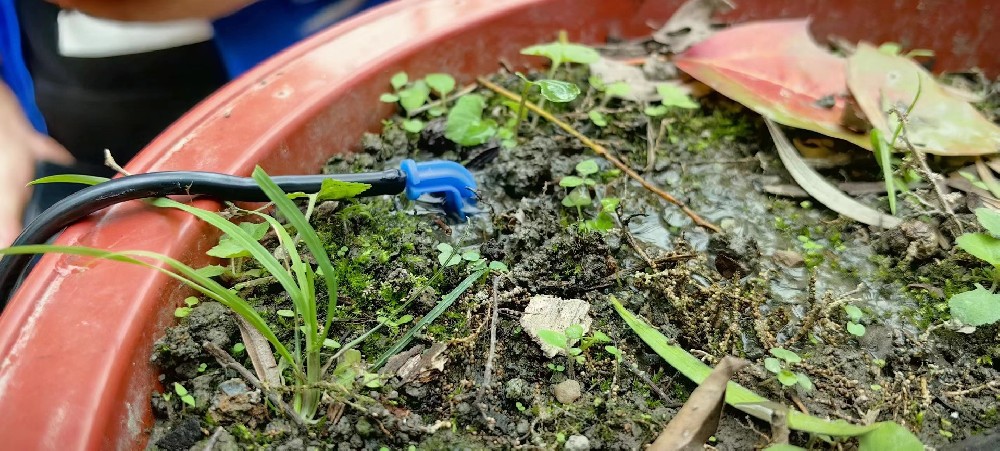 溫江區(qū)苗木園林灌溉項目